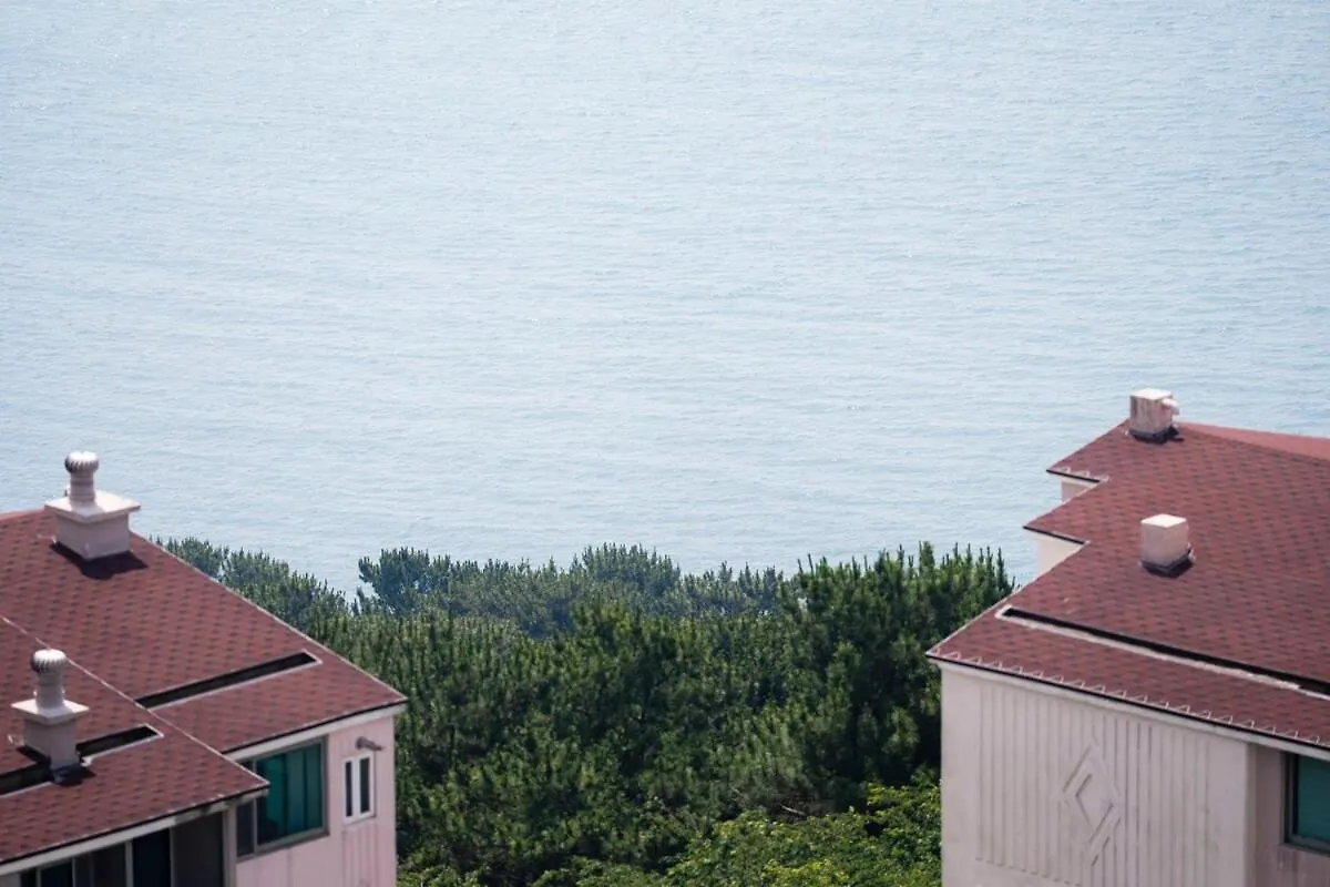בית נופש בוסאן Double-Decker Pension Ocean View Duplex With A View Of Cheongsapo Beach Train #High-Rise View#Ocean Front View